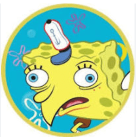 new-sponge-token logo