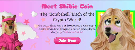 What is Shibie Coin