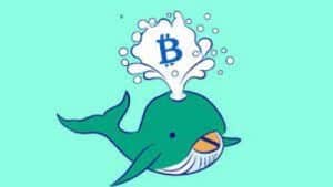 an illustration of a crypto whale