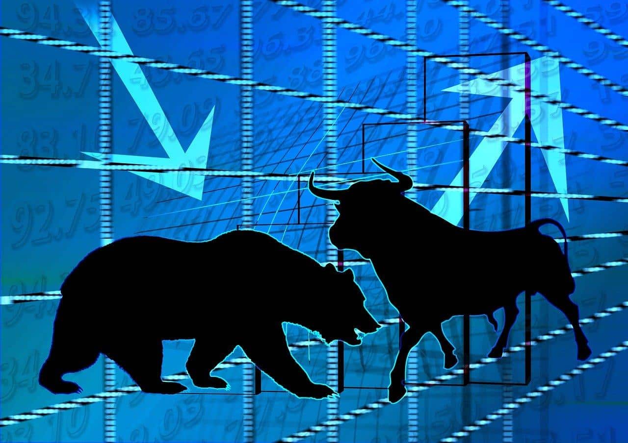Bear and bull markets