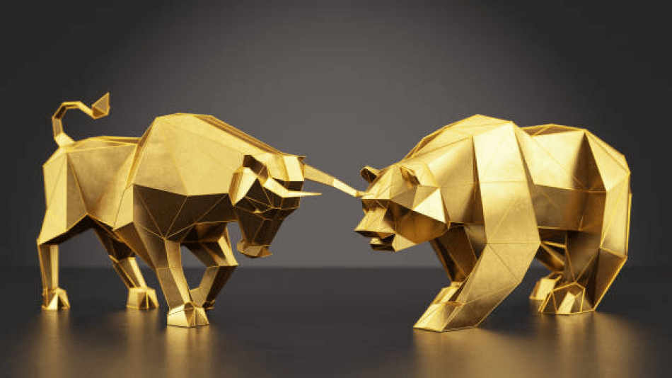 Two gold bulls