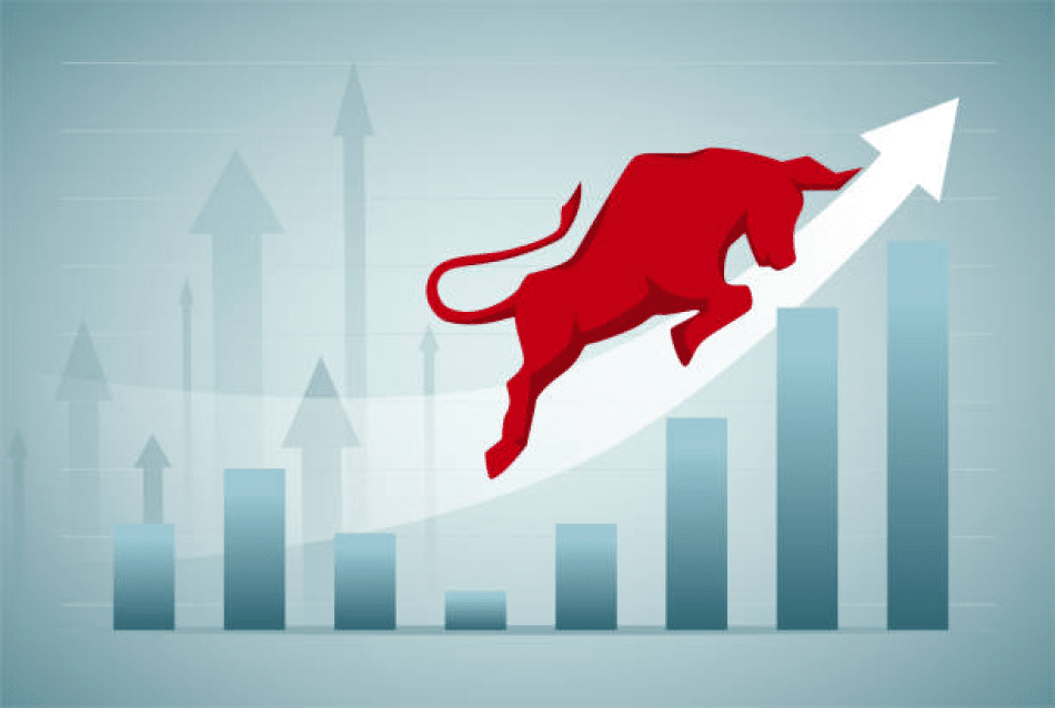 Bull market stock