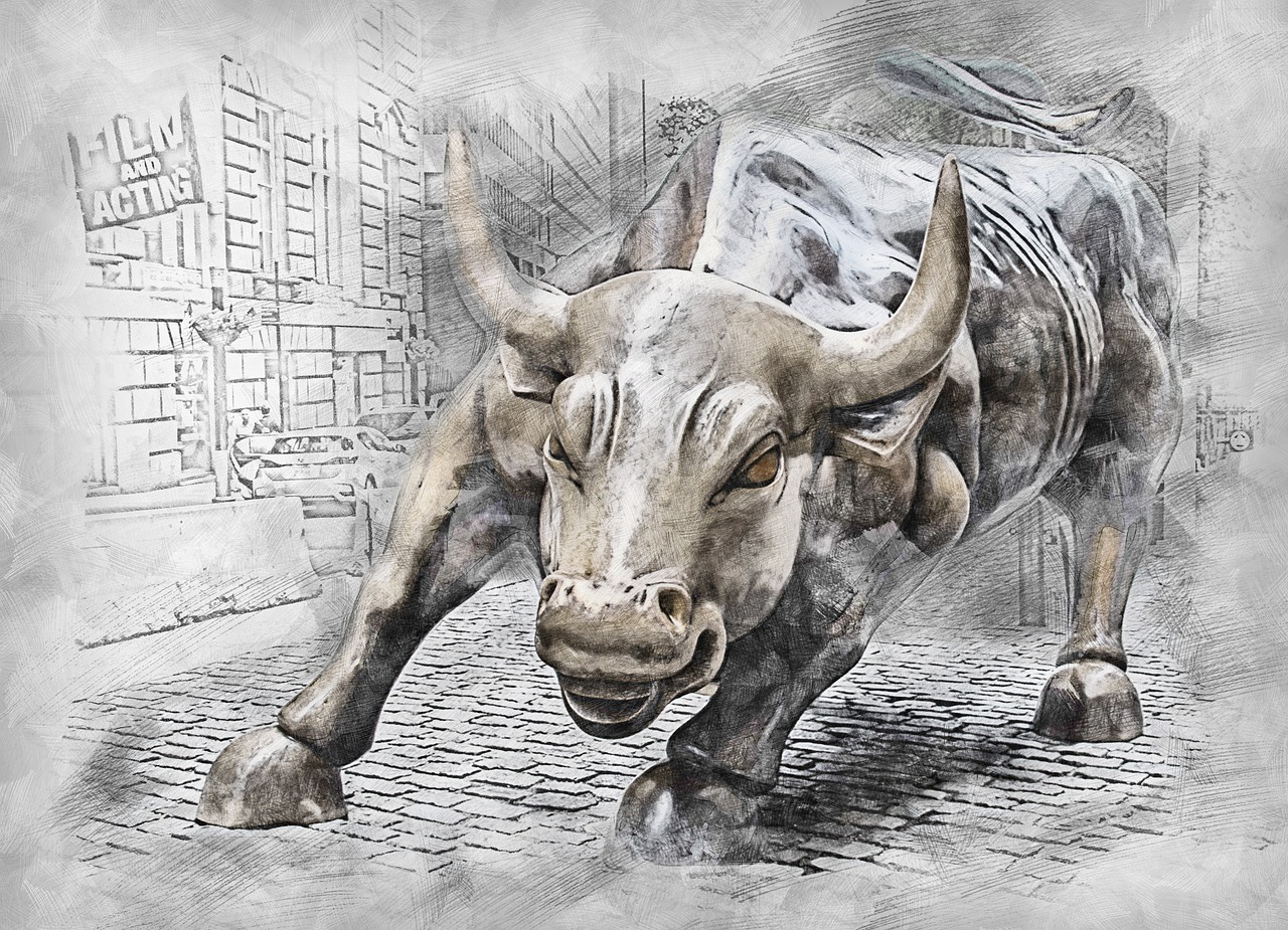 Crypto bull market